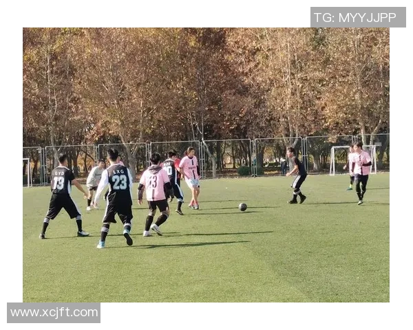 足球比赛观后感悟与反思探讨如何提升个人与团队的竞技水平