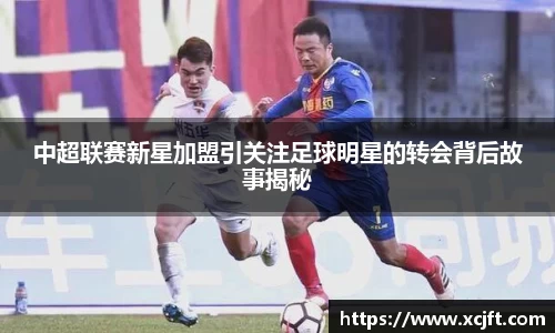 球速体育平台登录入口